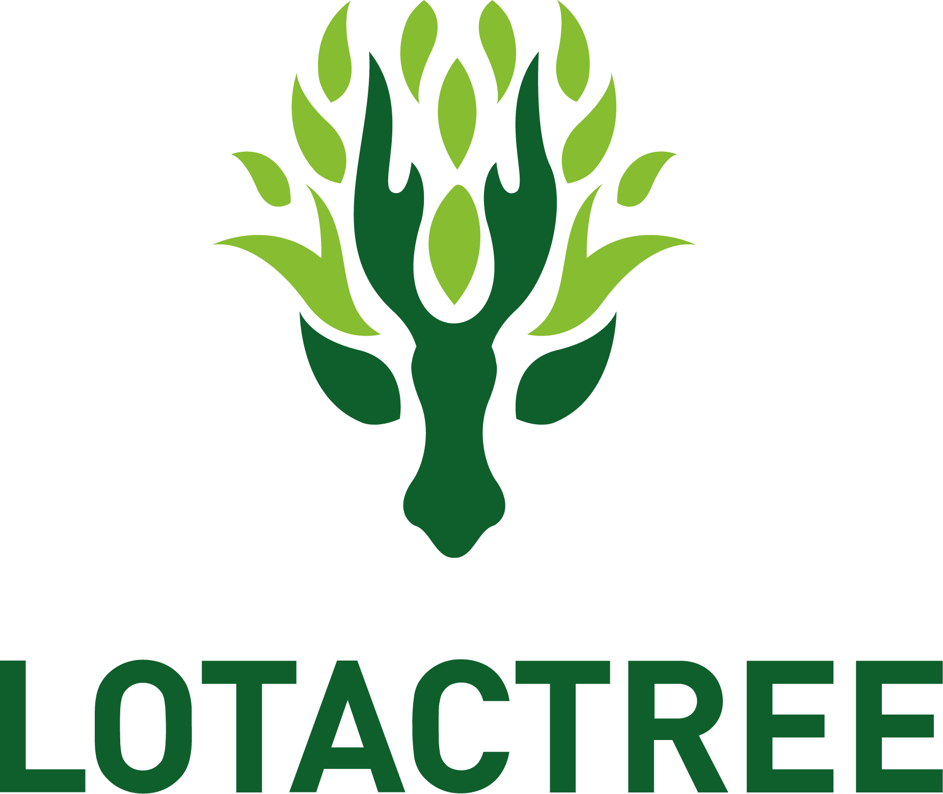 LOTACTREE PORTUGAL FILAMENTOS 3D